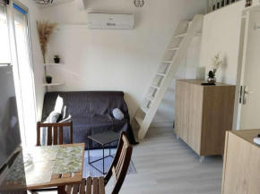 Appartement Cap d'Agde, 2 pièces, 4 personnes - FR-1-607-133
